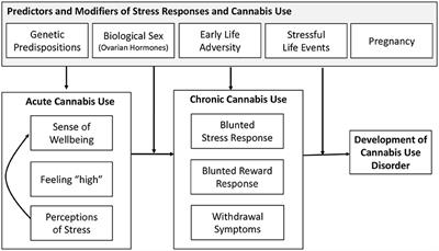 Impact of Acute and Chronic Cannabis Use on Stress Response Regulation: Challenging the Belief That Cannabis Is an Effective Method for Coping